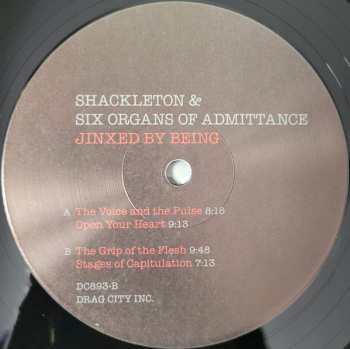 2LP Six Organs Of Admittance: Jinxed By Being 564757