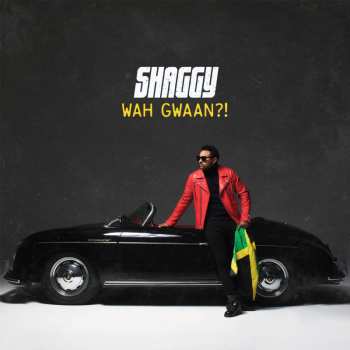 2LP Shaggy: Wah Gwaan?! CLR 39336