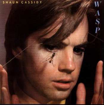 Shaun Cassidy: Wasp