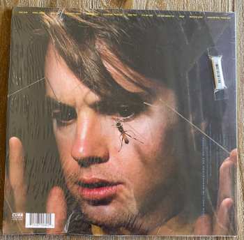 LP Shaun Cassidy: Wasp CLR | LTD 597496