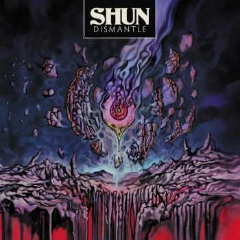 CD Shun: Dismantle 619933