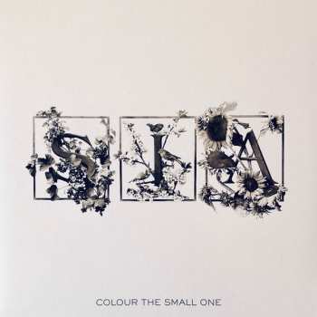 2LP Sia: Colour The Small One CLR | LTD | NUM 601467