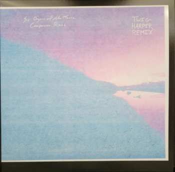 LP Six Organs Of Admittance: Companion Rises (Twig Harper Remix) 614089