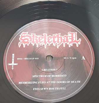 LP Skelethal: Within Corrosive Continuums LTD | CLR 618233