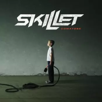 Skillet: Comatose