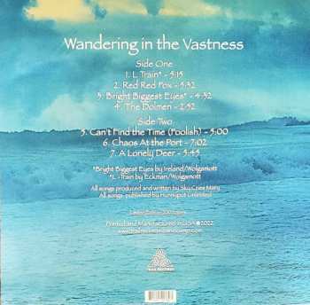 LP Sky Cries Mary: Wandering In The Vastness LTD 156542