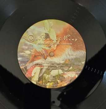 LP Sky Cries Mary: Wandering In The Vastness LTD 156542