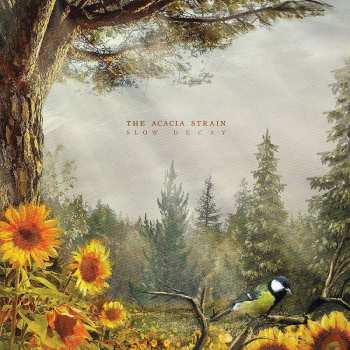 LP The Acacia Strain: Slow Decay LTD | CLR 391441