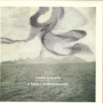 LP Snow Ghosts: A Small Murmuration 301264