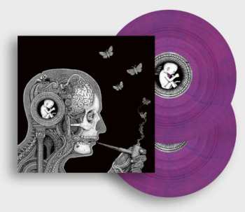 2LP Soen: Cognitive LTD | CLR 404755