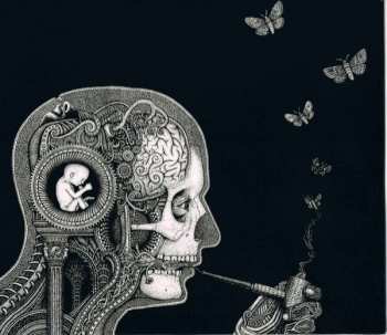 CD Soen: Cognitive DIGI 601766