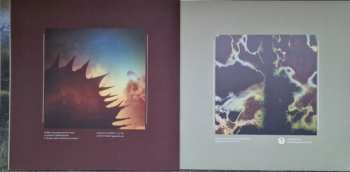 2LP Solar Fields: Formations LTD | CLR 446784