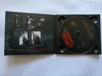 CD Solothus: Realm Of Ash And Blood DIGI 241527