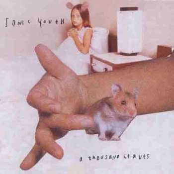 Album Sonic Youth: A Thousand Leaves