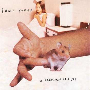 2LP Sonic Youth: A Thousand Leaves 45230