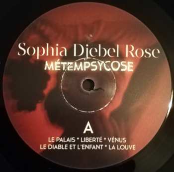 LP Sophia Djebel Rose: Métempsycose 334184