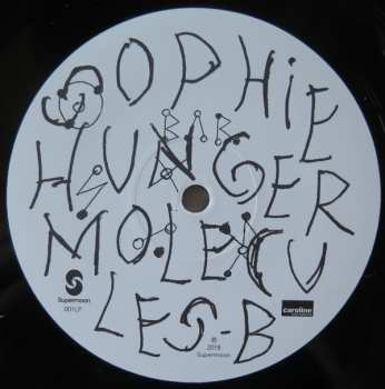 LP Sophie Hunger: Molecules 23875