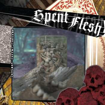 Album Spent Flesh: 7-deviant Burial Customs