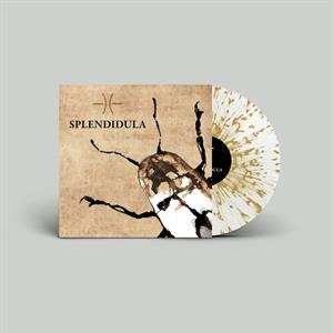 LP Splendidula: Splendidula CLR | LTD 553768