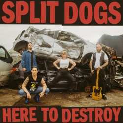 CD Split Dogs: Here To Destroy 624240