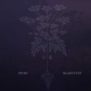 CD Spurv: Skarntyde 108142