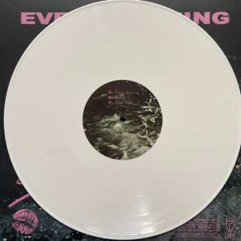 LP SRSQ: Ever Crashing CLR | LTD 556956