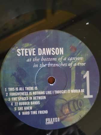 LP Steve Dawson: At The Bottom Of A Canyon In The Branches Of A Tree 560832