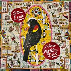 Album Steve Earle: Alone Again