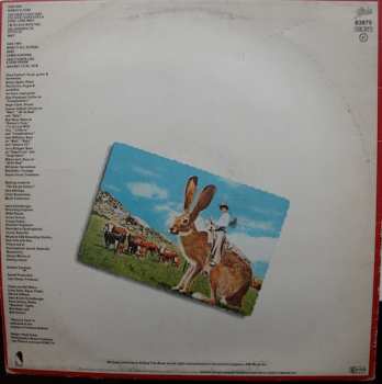 LP Steve Forbert: Jackrabbit Slim 571253