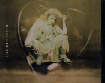 CD Stevie Nicks: The Wild Heart 40406