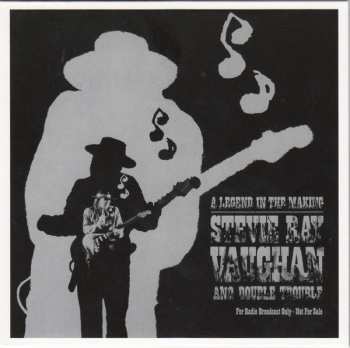 12CD/Box Set Stevie Ray Vaughan & Double Trouble: The Complete Epic Recordings Collection 148439