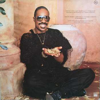 LP Stevie Wonder: In Square Circle 543223