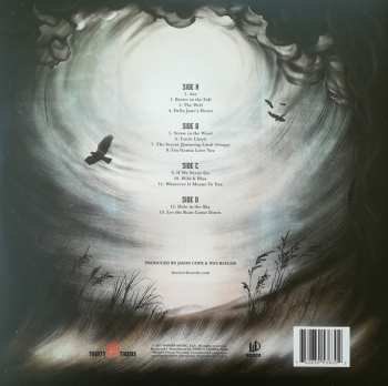 2LP The Steel Woods: Straw In The Wind 34782