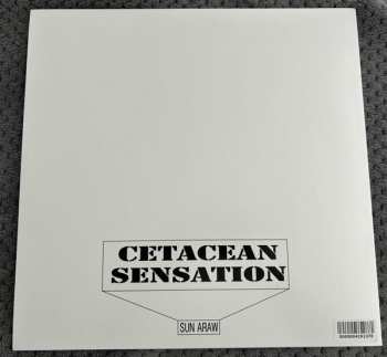 LP Sun Araw: Cetacean Sensation 607024