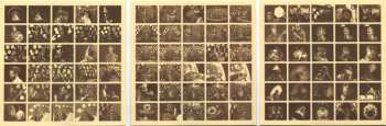 2LP Sun Ra: Inside The Light World (Sun Ra Meets The OVC) 631282