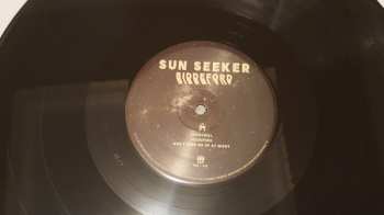 LP Sun Seeker: Biddeford 601775