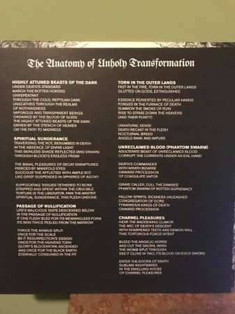 LP Superstition: The Anatomy Of Unholy Transformation 571650