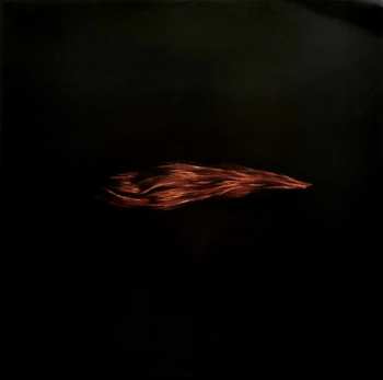 3LP Swans: The Seer 589349