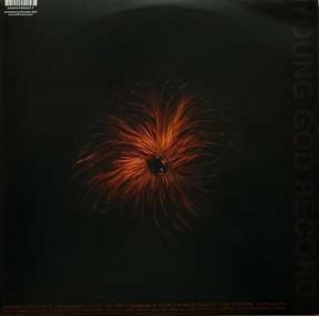 3LP Swans: The Seer 589349