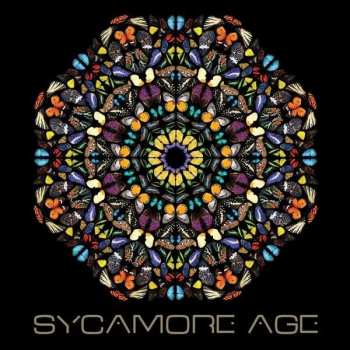 CD Sycamore Age: Sycamore Age 107442