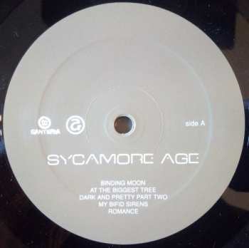 LP Sycamore Age: Sycamore Age LTD | NUM 85012