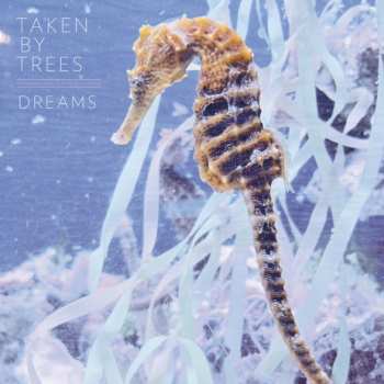 Album Taken By Trees: Dreams