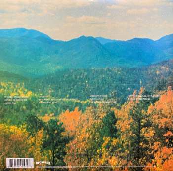 2LP Tame Impala: Innerspeaker 561017