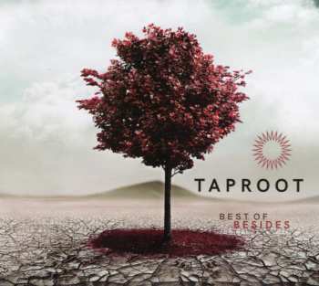 Taproot: Best Of Besides