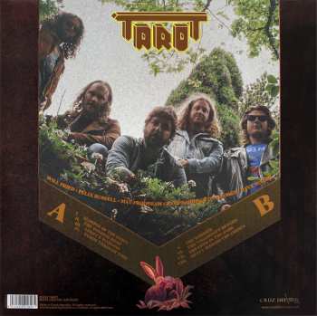 LP Tarot: Glimpse Of The Dawn CLR | LTD 584729