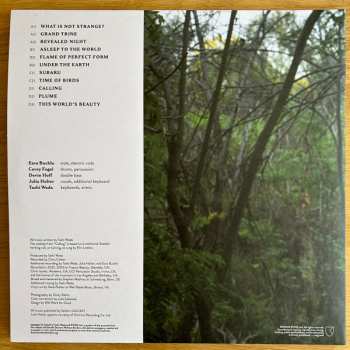 2LP Tashi Wada: What Is Not Strange? 568624