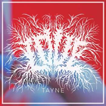 Album Tayne: Love