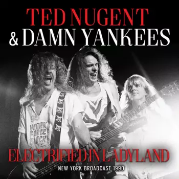 Damn Yankees: Electrified In Laydyland