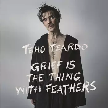 Grief Is The Thing With Feathers