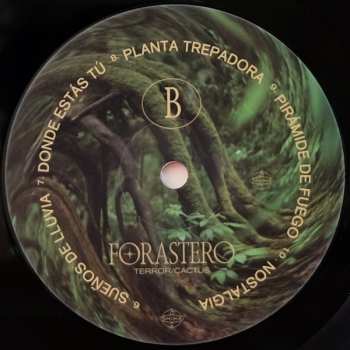 LP Terror/Cactus: Forastero LTD 661217